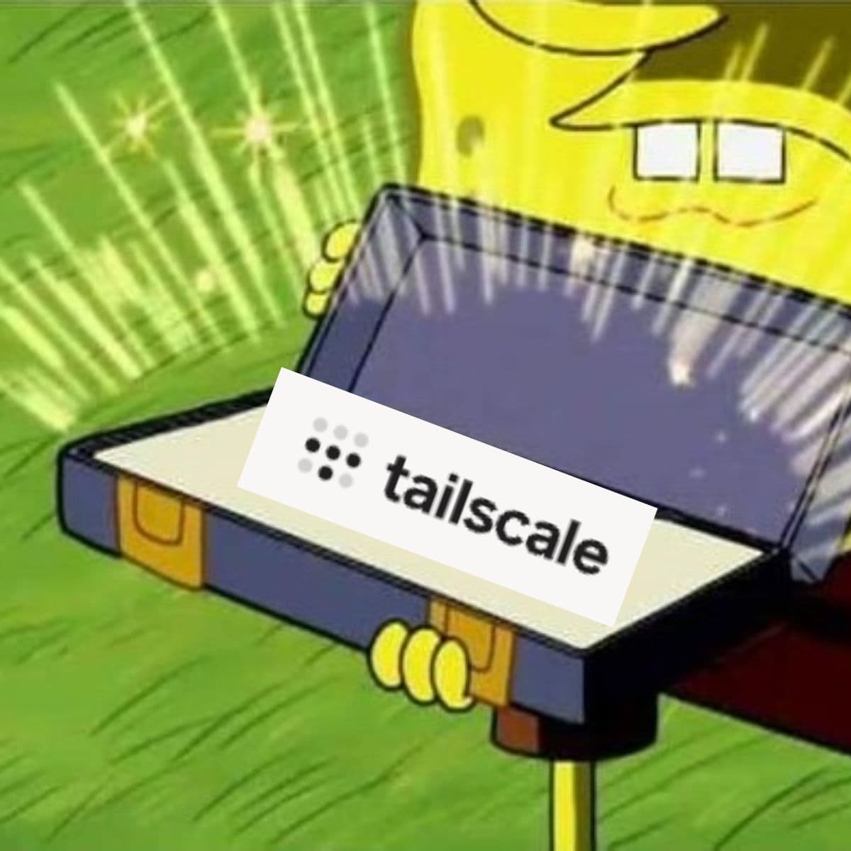 Tailscale <3 